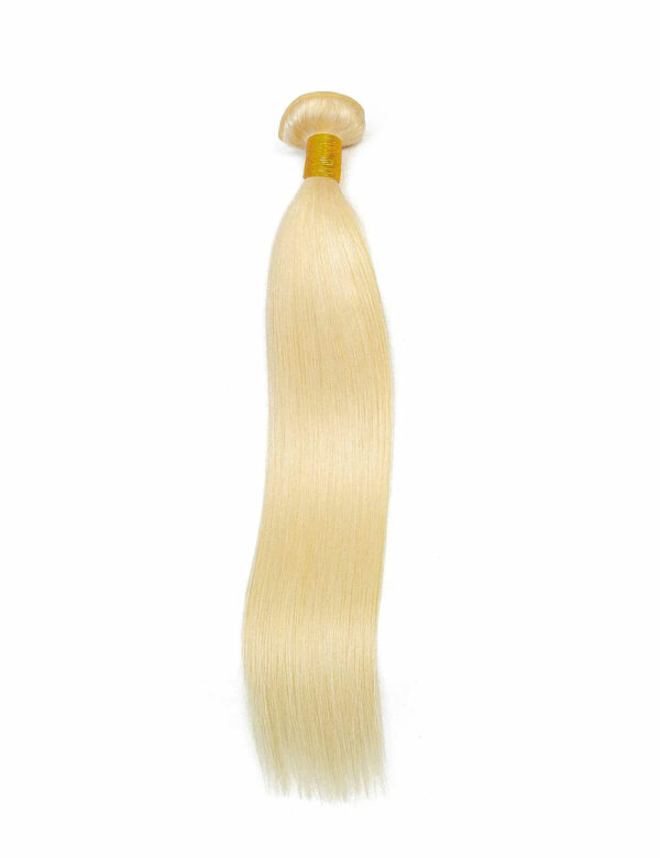 Premium hair - blond (GROS)